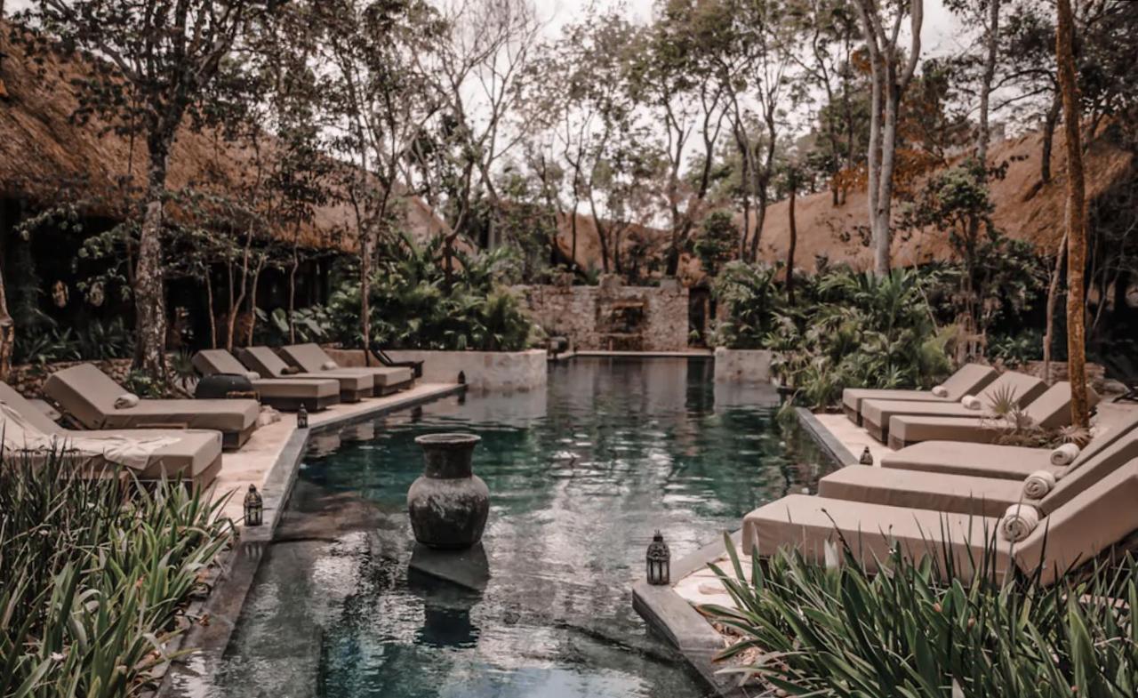 Vida Jungle Apart 1 With Special Fee To Access Hotel Bardo Tulum Eksteriør billede